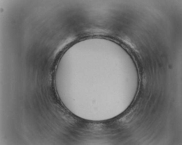 X0000088411309200706191412