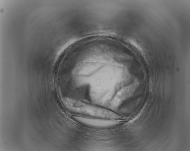 X0000088411310200706191412