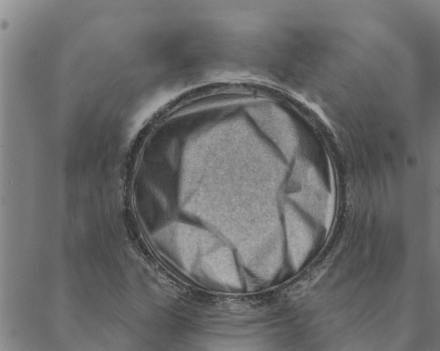 X0000088411311200706191412