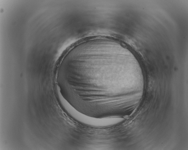 X0000088411312200706191412