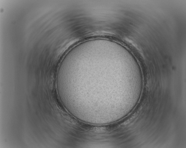 X0000088411313200706191412