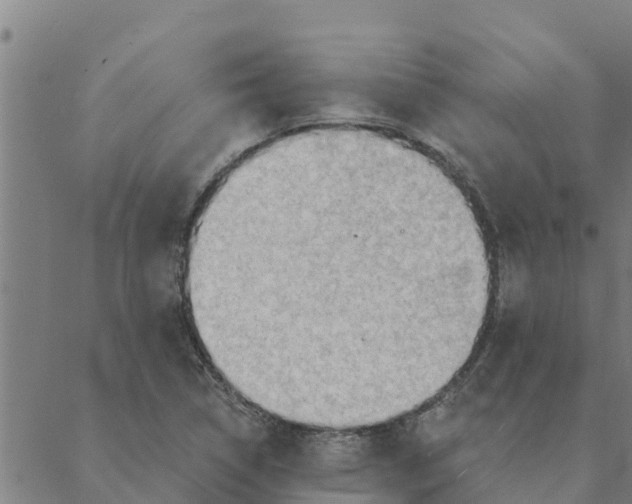 X0000088411314200706191412