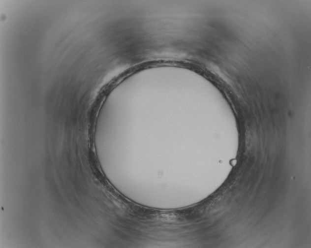 X0000088411315200706191412