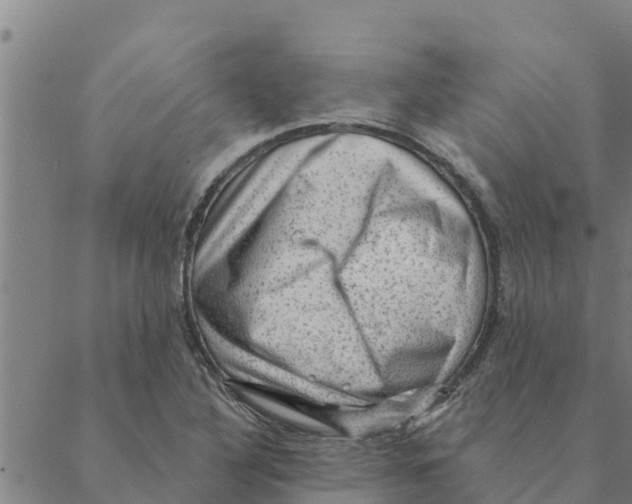 X0000088411316200706191412