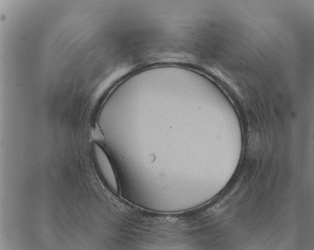 X0000088411317200706191412