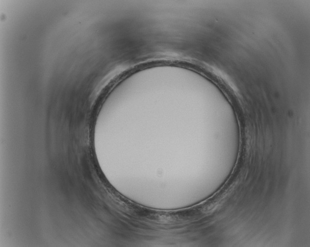 X0000088411318200706191412