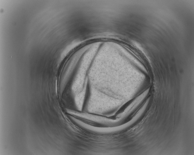 X0000088411320200706191412