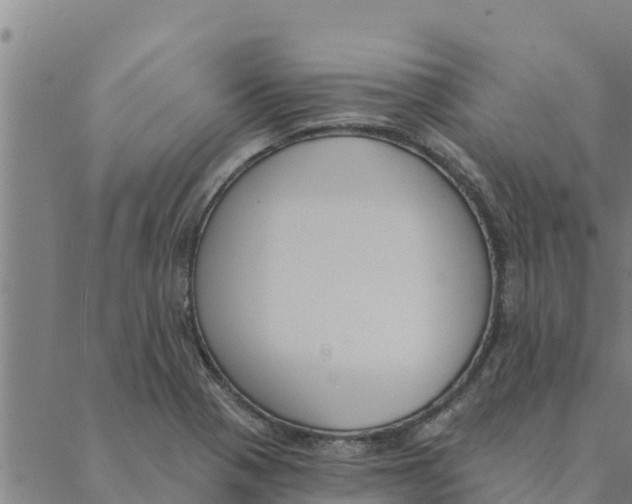 X0000088411321200706191412