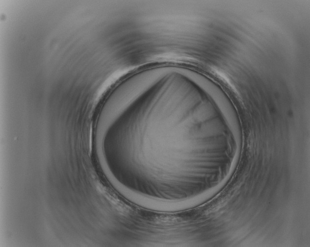 X0000088411323200706191412