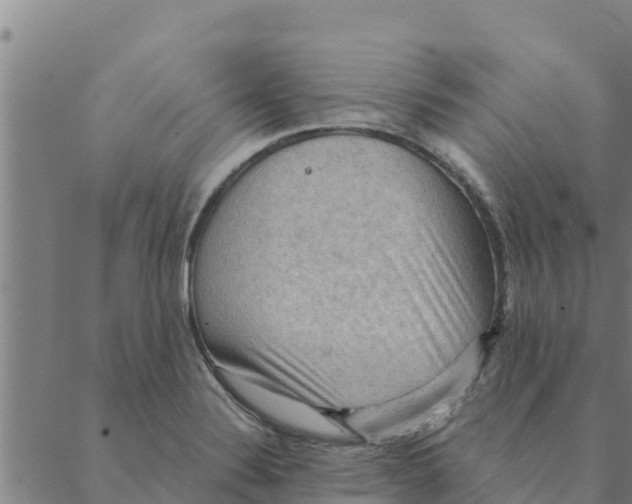 X0000088411324200706191412