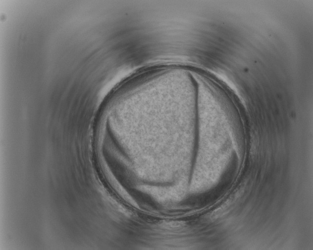 X0000088411325200706191413