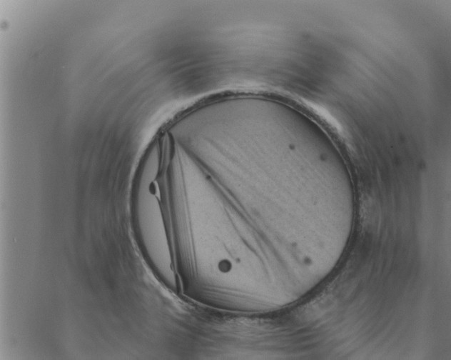 X0000088411327200706191413