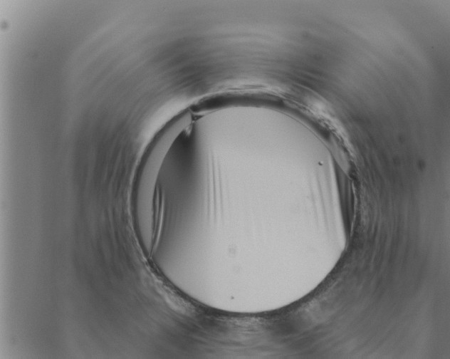 X0000088411328200706191413