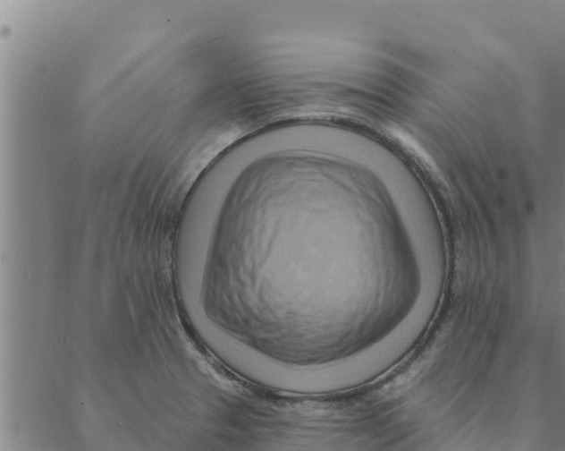 X0000088411329200706191413