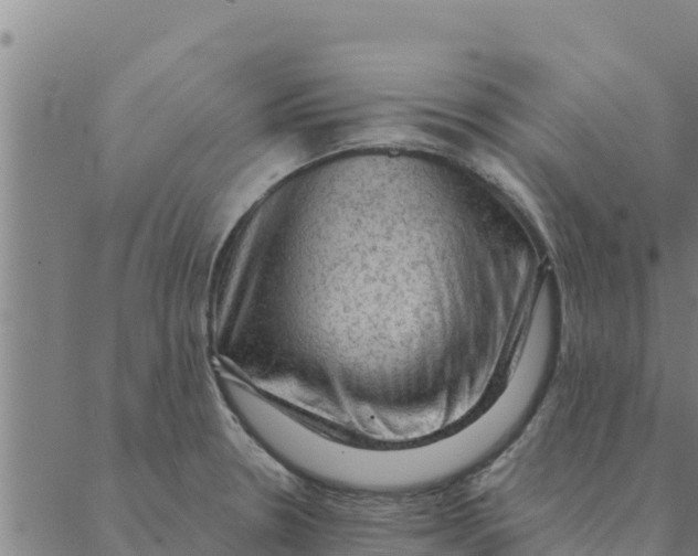 X0000088411330200706191413