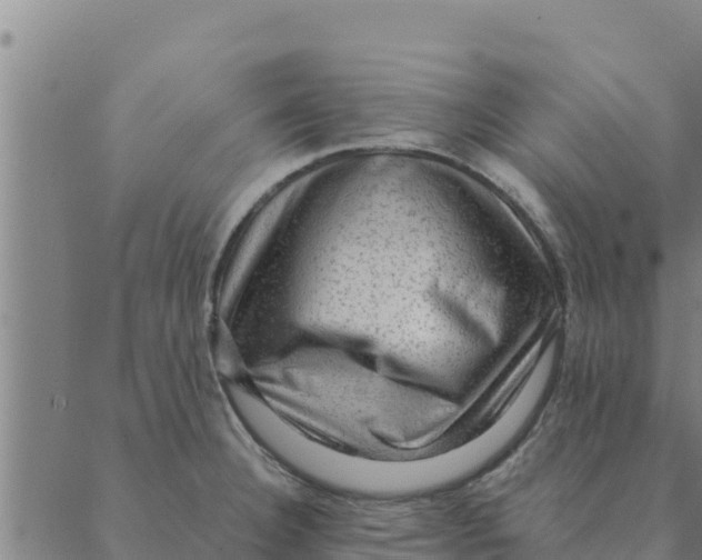 X0000088411332200706191413