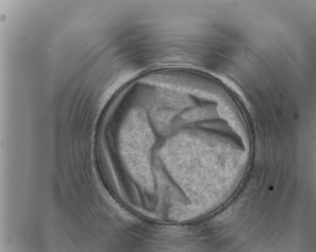 X0000088411333200706191413