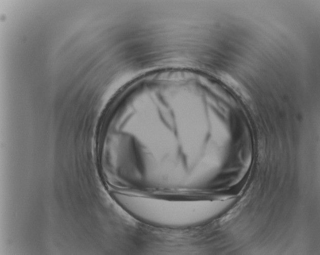 X0000088411334200706191413