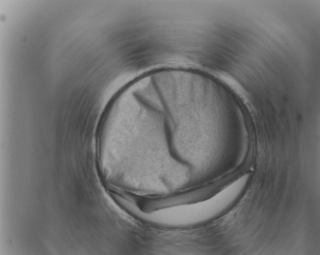 X0000088411335200706191413