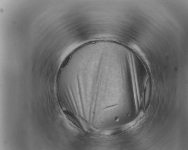 X0000088411336200706191413