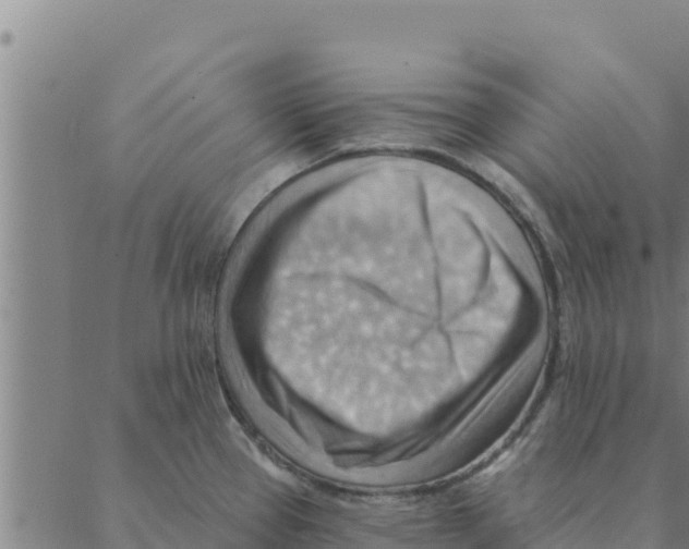 X0000088411337200706191413