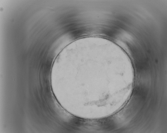 X0000088411338200706191413