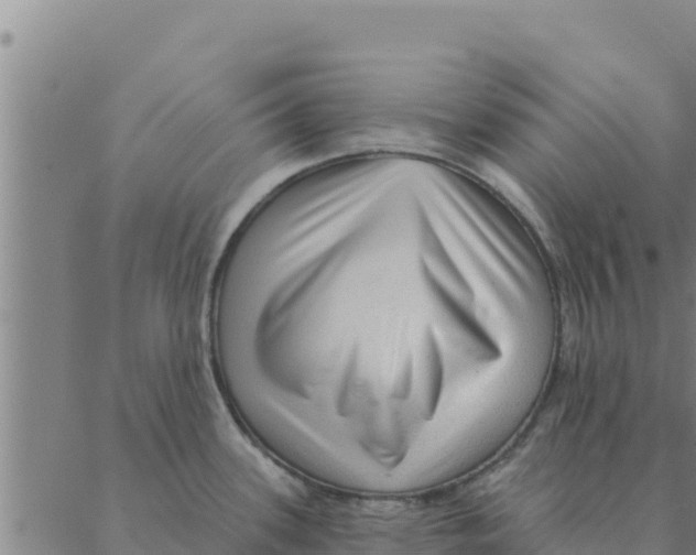 X0000088411339200706191413