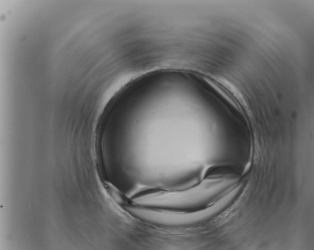 X0000088411342200706191413