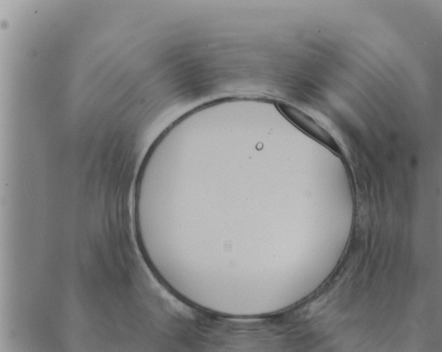 X0000088411343200706191413