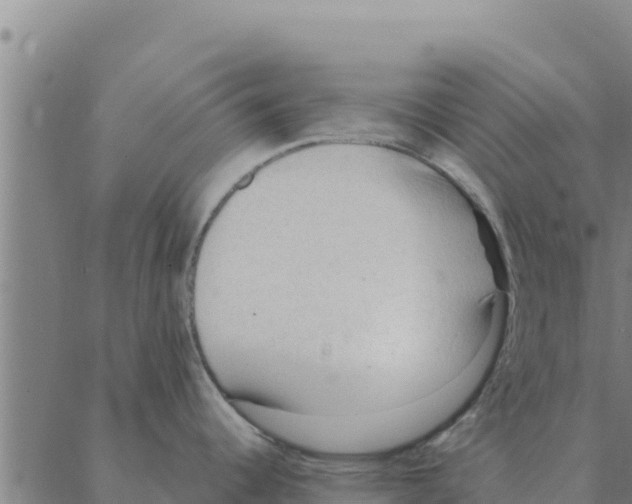 X0000088411344200706191413