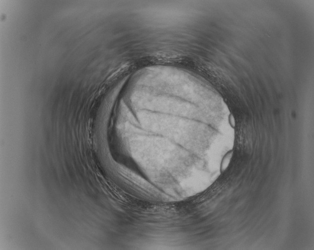 X0000088411346200706191412