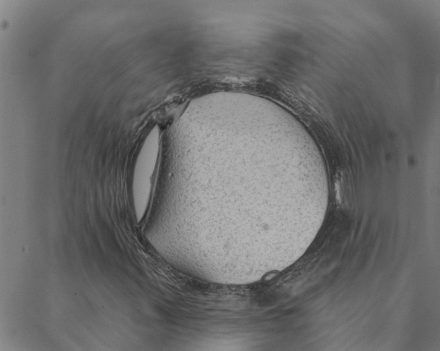 X0000088411347200706191412