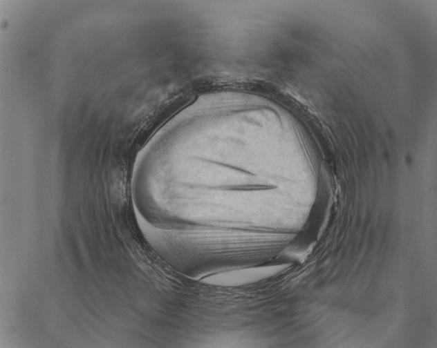 X0000088411348200706191412