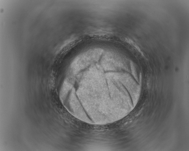 X0000088411350200706191412