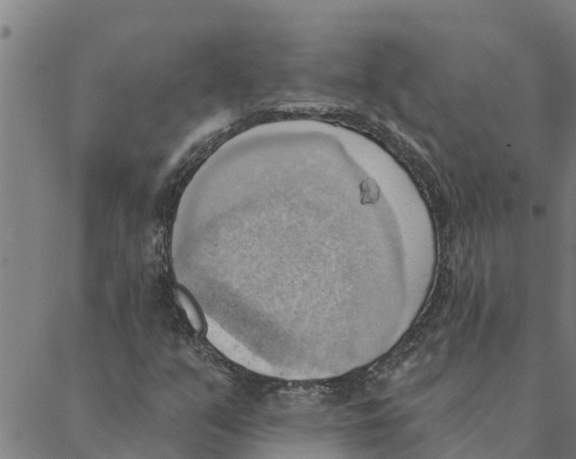 X0000088411351200706191412