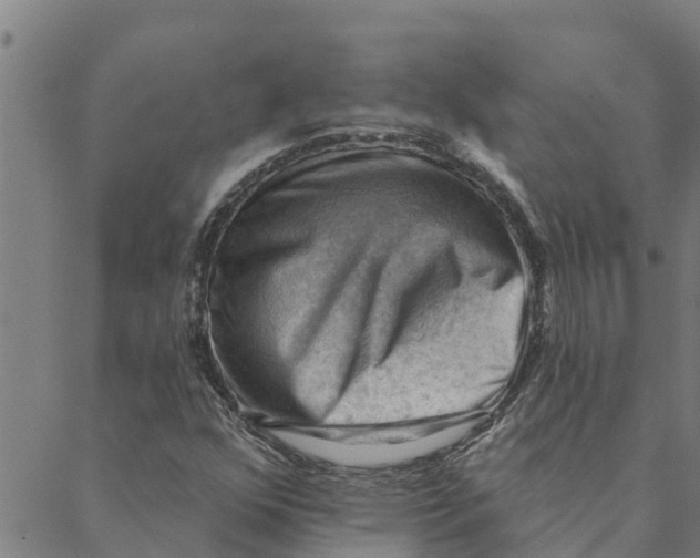 X0000088411352200706191412