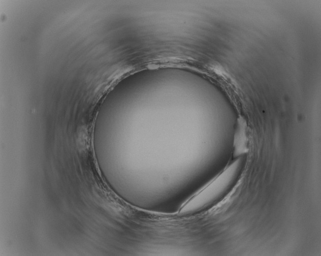 X0000088411353200706191412