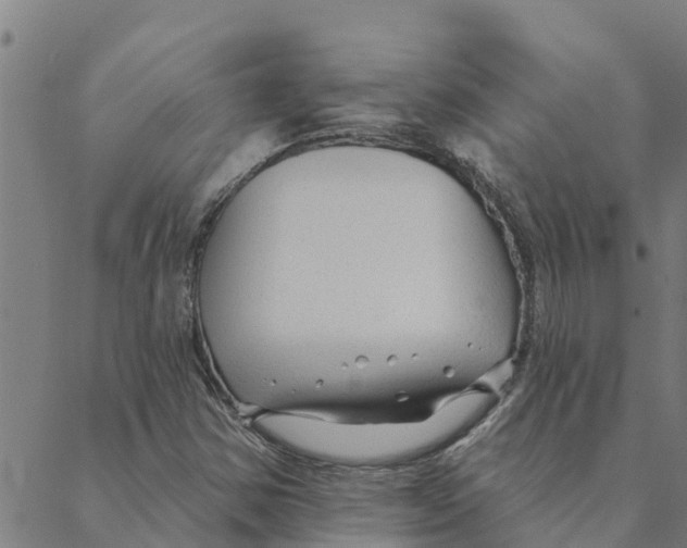 X0000088411354200706191412