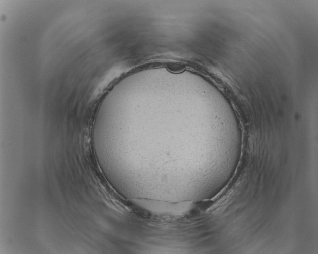 X0000088411355200706191412