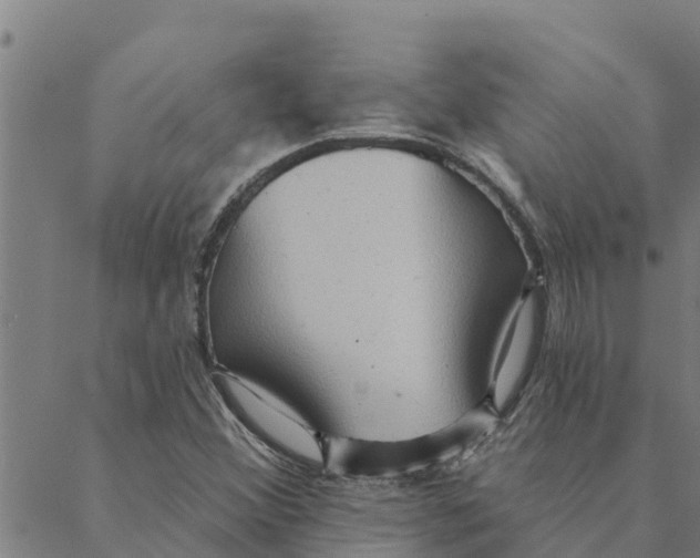 X0000088411356200706191412