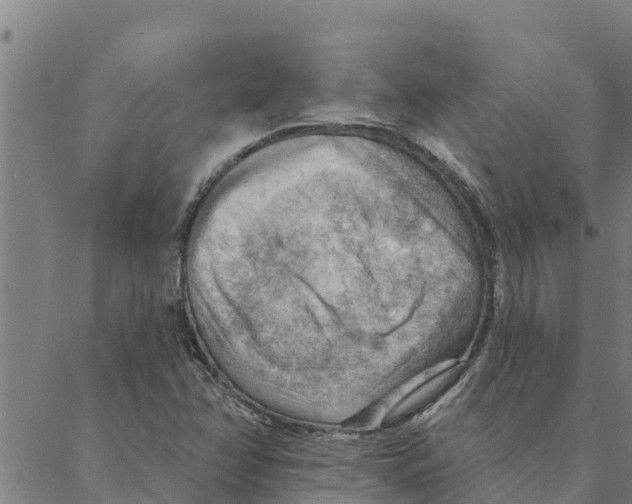 X0000088411358200706191412