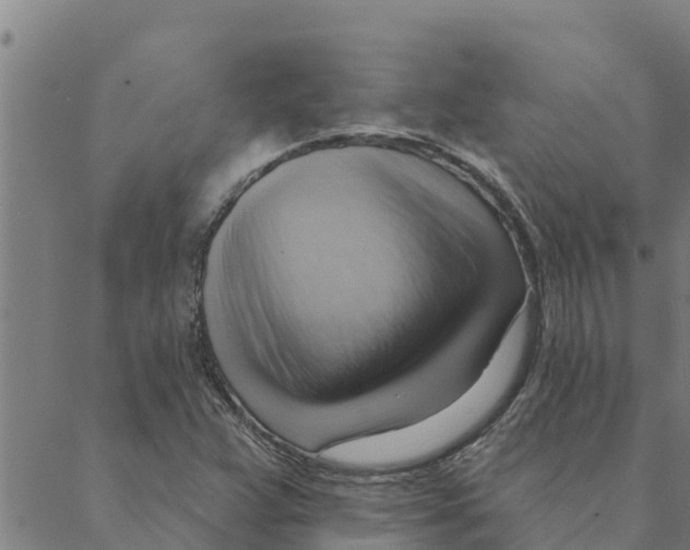 X0000088411359200706191412