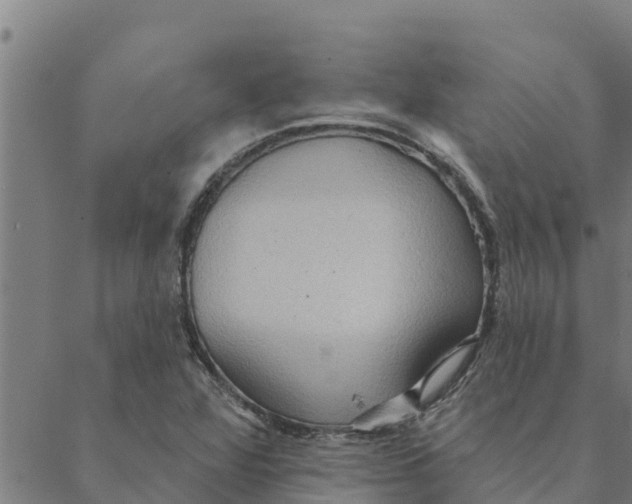 X0000088411360200706191412