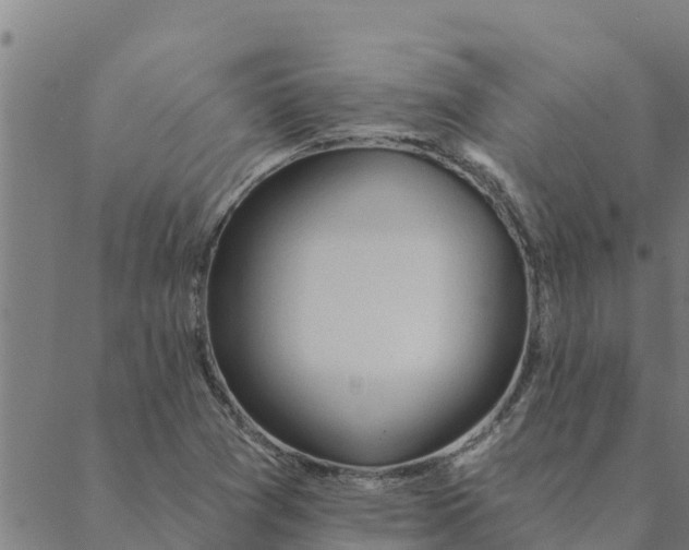 X0000088411361200706191412