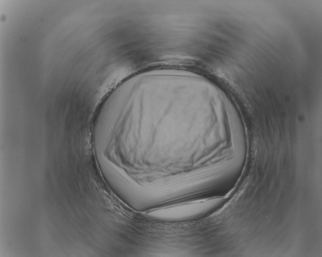 X0000088411362200706191412