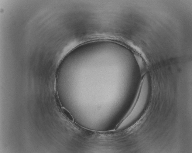 X0000088411365200706191412