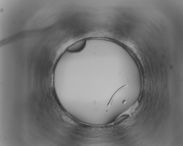 X0000088411366200706191412