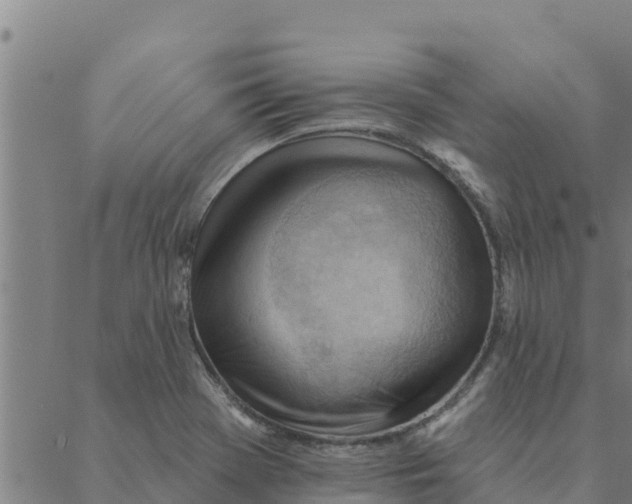 X0000088411369200706191412