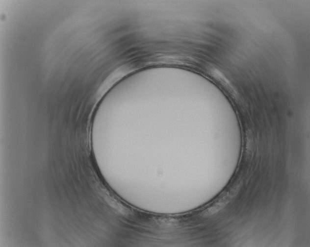 X0000088411370200706191412