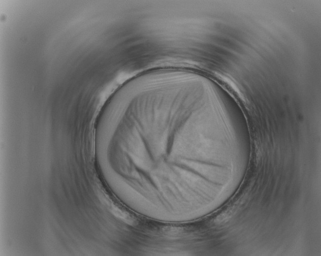 X0000088411371200706191412